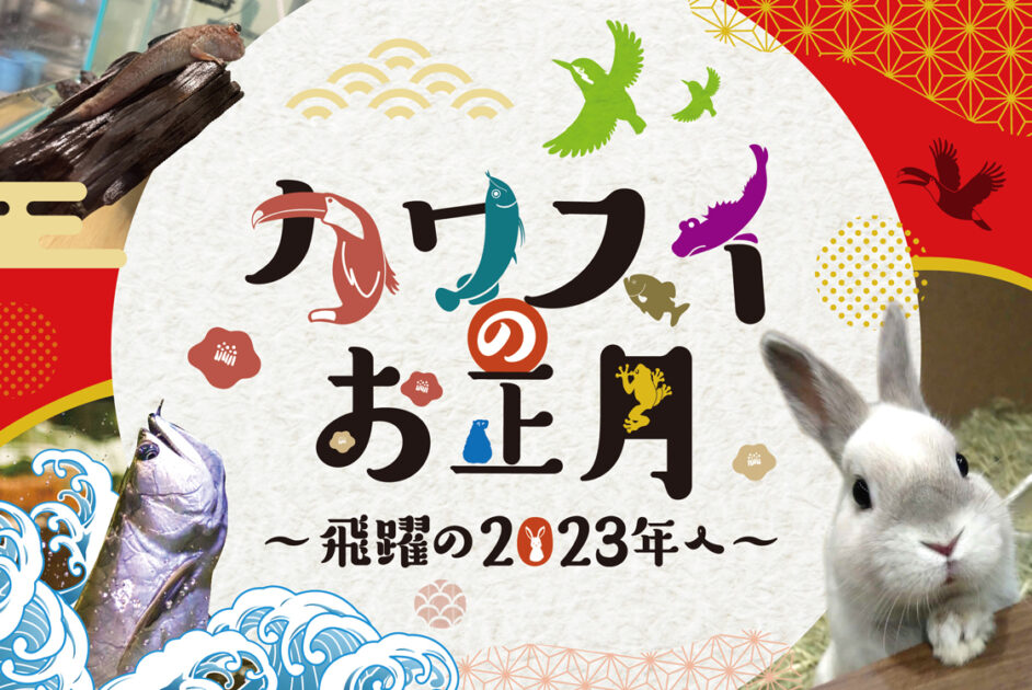 「カワスイのお正月〜飛躍の2023年へ〜」
